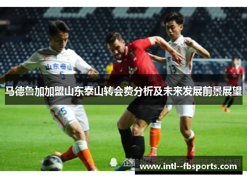 马德鲁加加盟山东泰山转会费分析及未来发展前景展望 马德鲁加加盟山东泰山转会费分析及未来发展前景展望